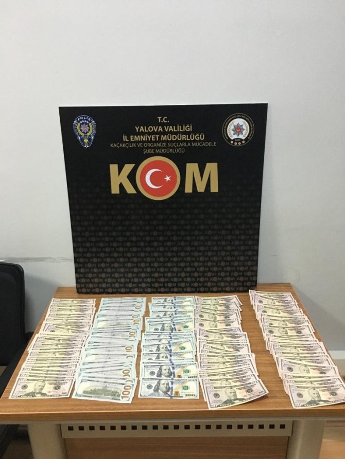 Yalova’daki Uyuşturucu Operasyonunda 1 Tutuklama