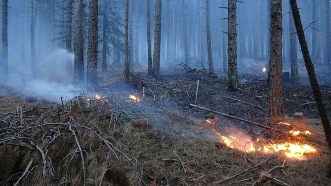 Kaz Dağları’nda Ormanlık Alanda Örtü Yangını Devam Ediyor