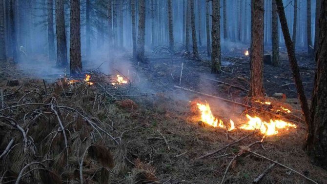Kaz Dağları’ndaki Örtü Yangını Kontrol Altına Alındı, 80 Hektar Alan Zarar Gördü