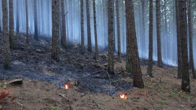 Kaz Dağları’ndaki Örtü Yangını Kontrol Altına Alındı, 80 Hektar Alan Zarar Gördü