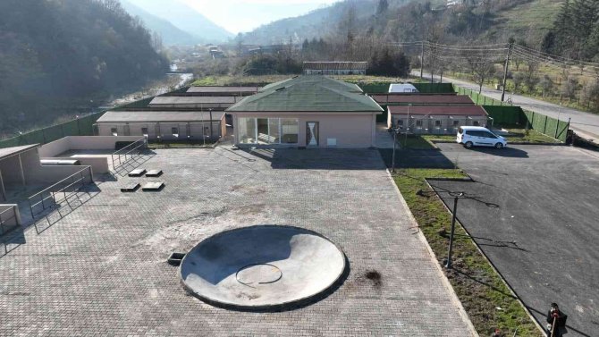 Sokak Hayvanları Rehabilitasyon Merkezi’nde Sona Doğru