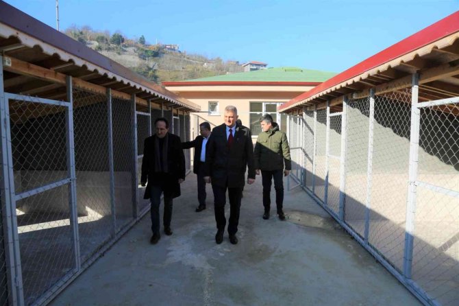 Sokak Hayvanları Rehabilitasyon Merkezi’nde Sona Doğru