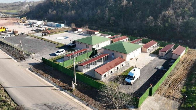 Sokak Hayvanları Rehabilitasyon Merkezi’nde Sona Doğru