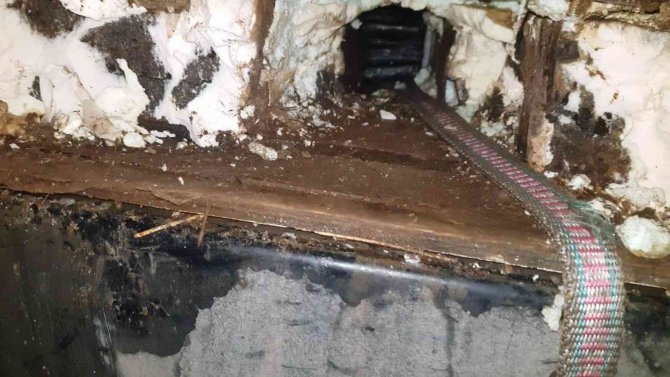 Habur Gümrük Kapısı’nda 330 Adet Kaçak Cep Telefonu Ele Geçirildi
