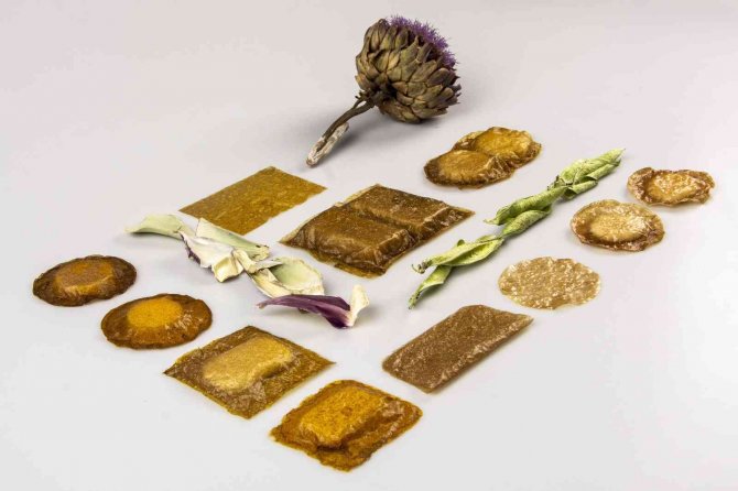 Şifa Deposu Enginar ‘Ambalaj’ Sektörüne İlham Oldu