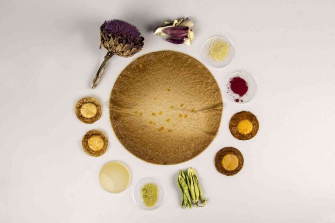 Şifa Deposu Enginar ‘Ambalaj’ Sektörüne İlham Oldu