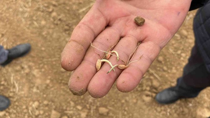 Kulu’da Kuraklık Nedeniyle Çiftçiler Zor Günler Yaşıyor