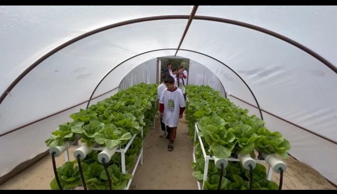 Köy Yaşam Merkezi’ndeki Seralarda Minik Ellerle Umutlar Yeşeriyor