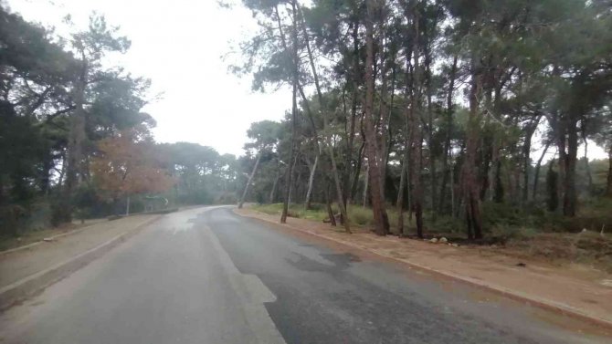 Sorgun Çamlığı’nda Orman Yangını Büyümeden Söndürüldü