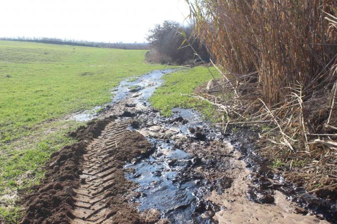 Manisalı Çiftçi Su Ararken Petrol Buldu