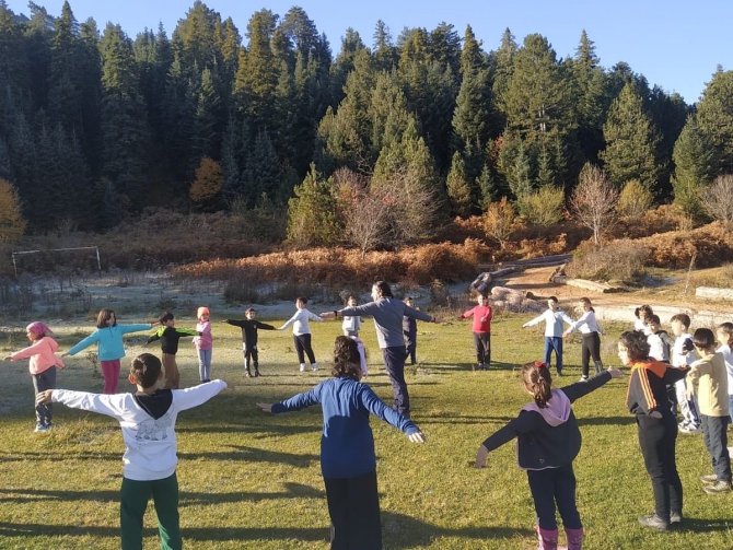 Orman İçerisinde Ders İşliyorlar