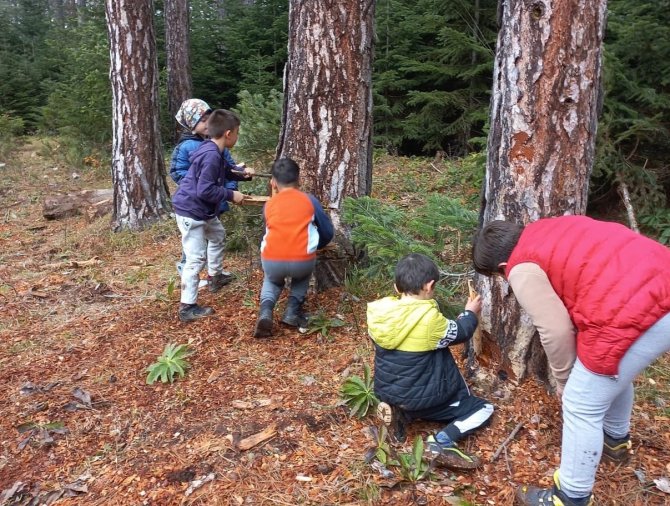 Orman İçerisinde Ders İşliyorlar
