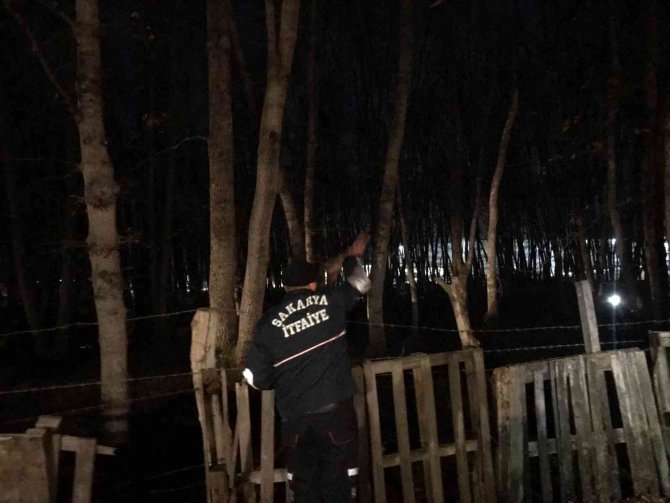Ormanlık Alanda Çıkan Yangın Söndürüldü