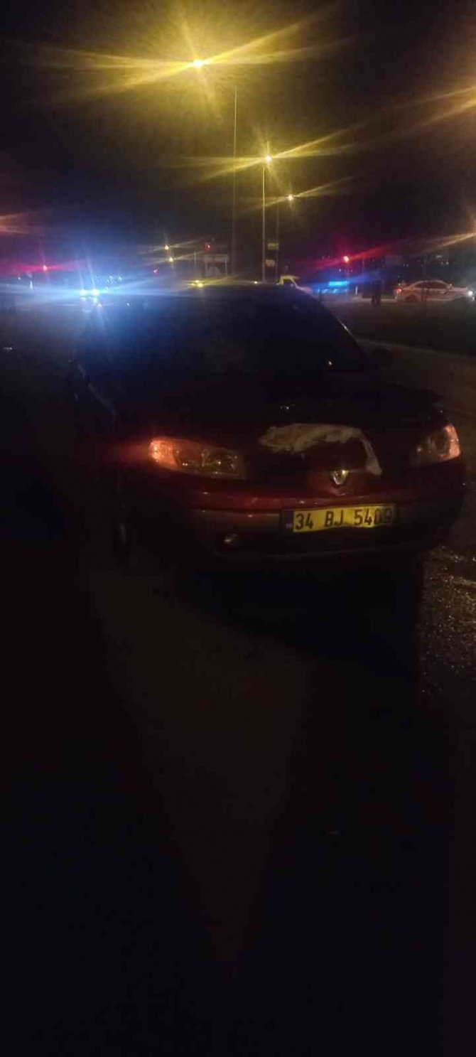 Otomobilin Çarptığı Kadın Hayatını Kaybetti