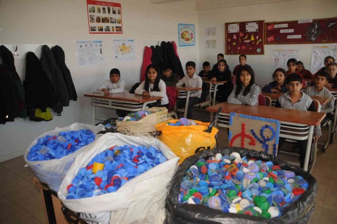 Cizreli Minik Öğrenciler, Engelliler İçin Seferber Oldu