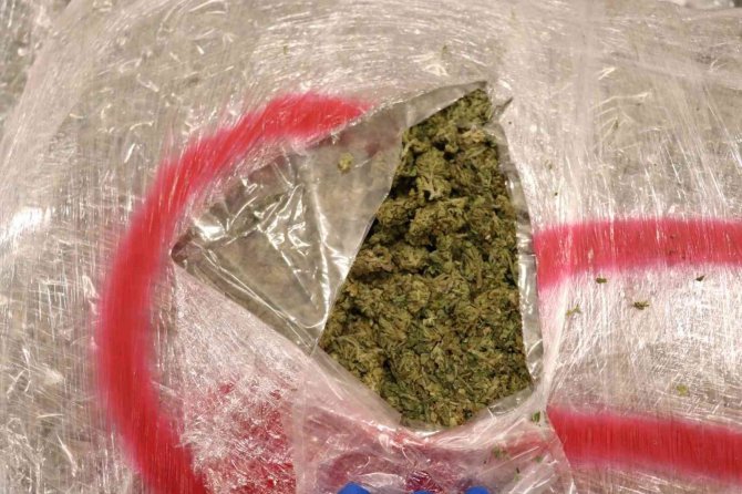 Yunanistan’dan Türkiye’ye Giriş Yapan Tırda 603 Kilo 500 Gram Skunk Ele Geçirildi