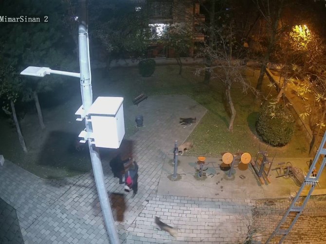 Ümraniye’de Sokak Köpeklerine Ateş Eden Saldırganının Önüne Geçerek Canını Siper Etti