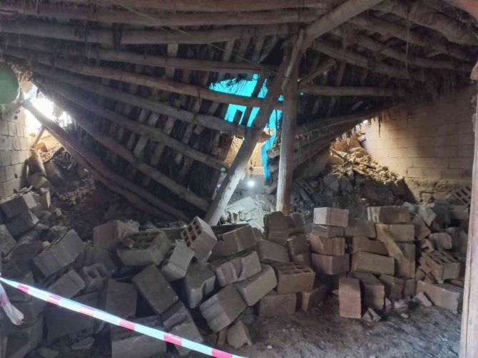 Van’da Çöken Ahırda 7 Küçükbaş Hayvan Telef Oldu