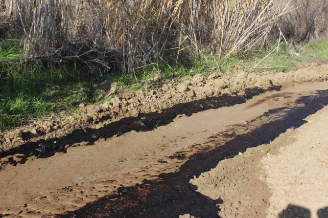 Manisalı Çiftçi Su Ararken Petrol Buldu