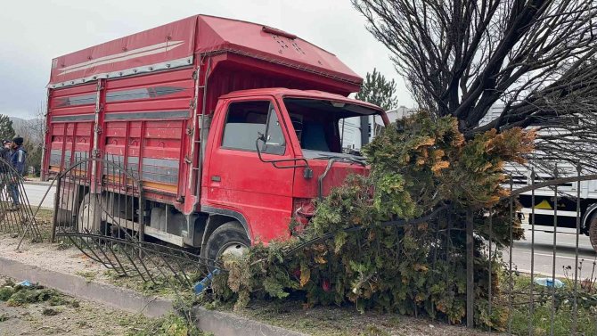 Canlı Hayvan Taşıyan Kamyonet Ağaca Çarptı, 2 Kişi Yaralandı