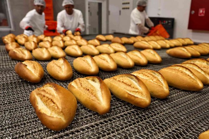 Büyükşehir Halk Ekmek Fabrikası 6 Ayda 6 Milyon Ekmek Üretti