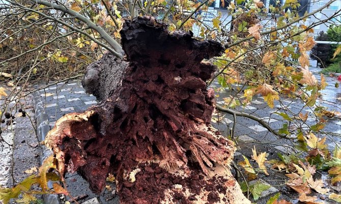 Antalya’da Şiddetli Yağmur Yolları Göle Çevirdi