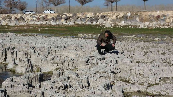Van Gölü Kıyısında En Büyük Mikrobiyalit Oluşumuna Rastlandı
