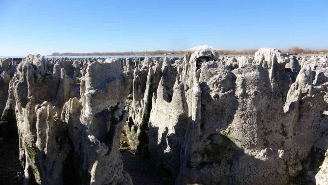 Van Gölü Kıyısında En Büyük Mikrobiyalit Oluşumuna Rastlandı