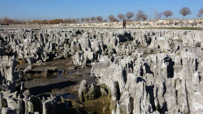 Van Gölü Kıyısında En Büyük Mikrobiyalit Oluşumuna Rastlandı