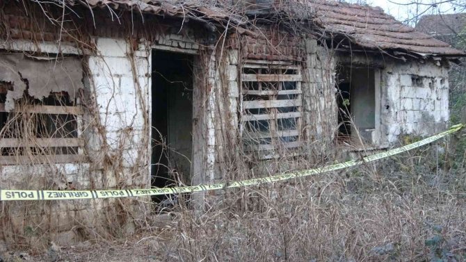Metruk Bina Yangınında Kedi Ve Köpeklerin Telef Olduğu İddialarına Açıklama Geldi
