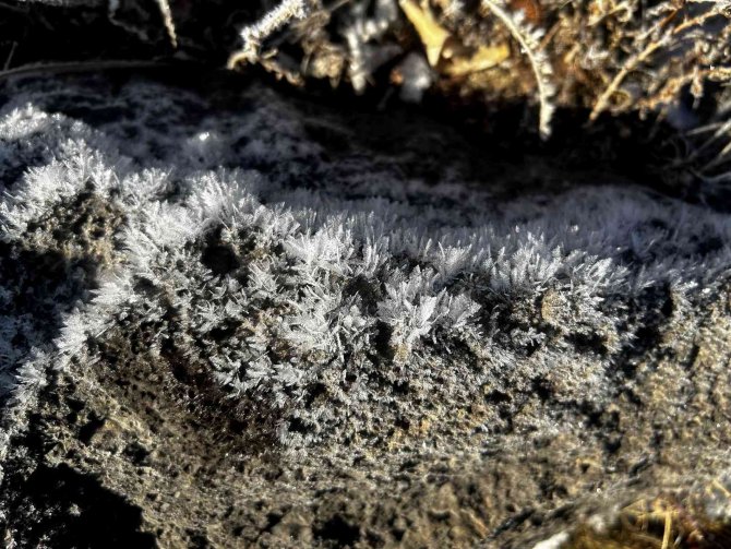 Erzurum’da Dondurucu Soğuklar Etkili Oluyor