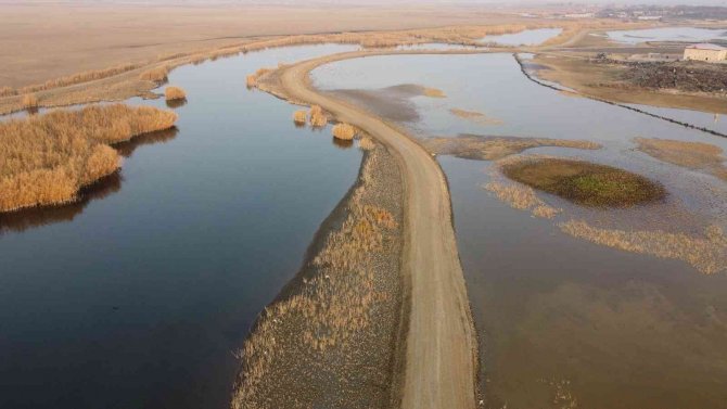 Ağrı Dağı Milli Parkı, Kuşlara Kışın Da Ev Sahipliği Yapıyor