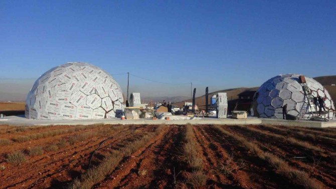 Dünyanın En Büyük Tek Parça Halindeki Lavanta Tarlasına Arı Müzesi Kuruluyor
