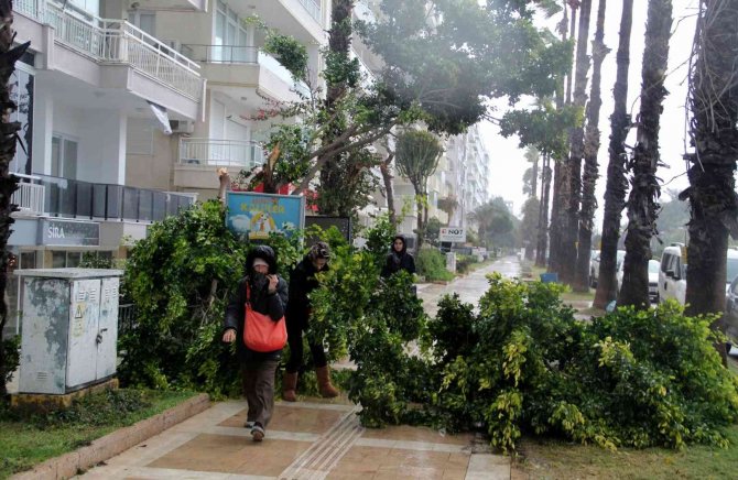 Antalya’da Dalgalar Falezleri Dövdü, Denizin Rengi Değişti
