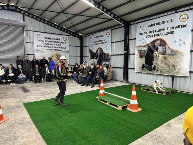 Yasaklı Irk Köpeklere Ve Engelli Köpeklere Uyum Eğitimi