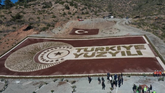 Osmaniye’de 28 Bin Fidanla Türkiye Yüzyılı Logosu Oluşturuldu