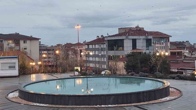 Gökyüzünü Kaplayan Karga Sürüsü Korku Filmlerini Aratmadı
