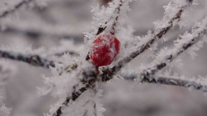 Göle Eksi 22,4 Derece İle Dondu
