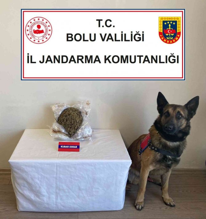 Çantalarında Uyuşturucu Taşıyan Şüpheliler Dedektör Köpeğe Takıldı