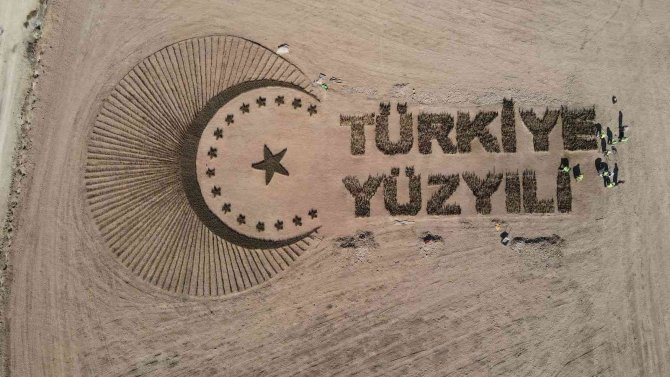 Denizli’de 81 Bin Fidanla ’Türkiye Yüzyılı’ Logosu İşlendi