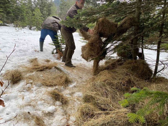 Yaban Hayvanları İçin Seferber Oldular