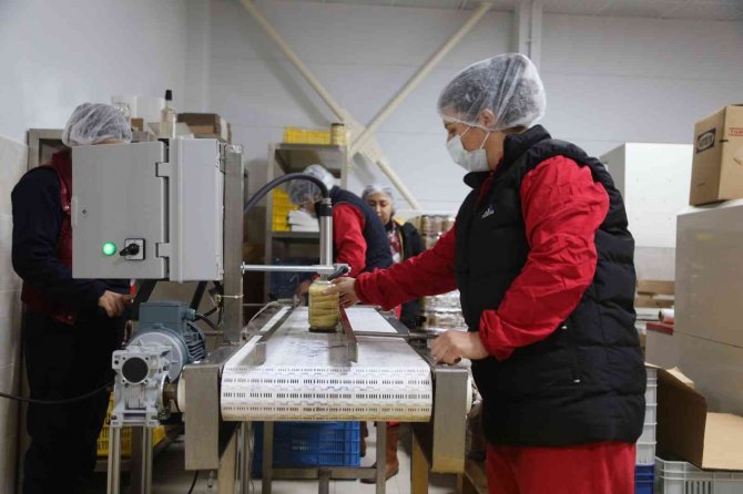 Efeler Kadın Emeği İle Üretiyor, Ülkenin Dört Bir Yanına Ulaştırıyor