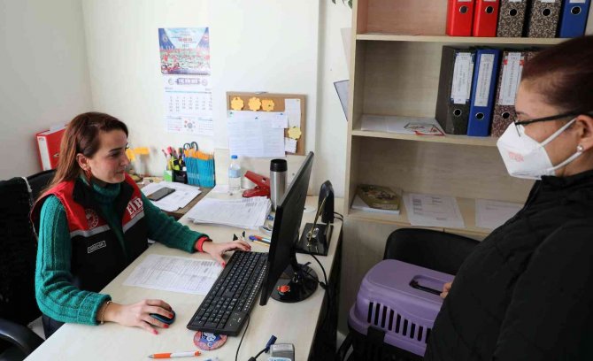 Eskişehir’de 25 Bin 125 Kedi Ve Köpeğe Mikroçip Takıldı