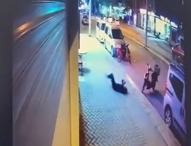 Pencereden Düşerek Hayatını Kaybeden Kadının Sevgilisinin İfadeleri Ortaya Çıktı