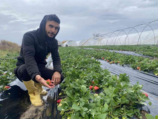 Fırtına Sonrası Geldiği Serasını Yerinde Bulamadı