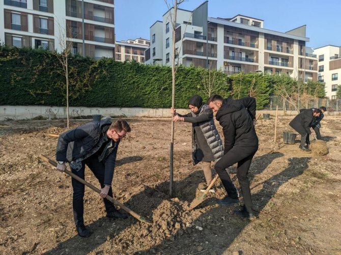 Nilüfer’de Ağaçlandırma Çalışmaları Başladı