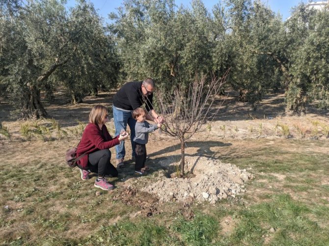 Nilüfer’de Ağaçlandırma Çalışmaları Başladı
