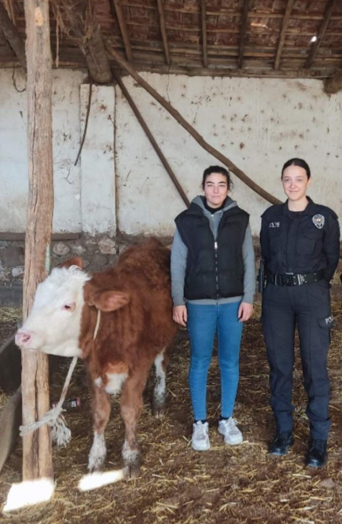 Isparta’da Kaybolan Hediyelik Düveyi Polis Buldu