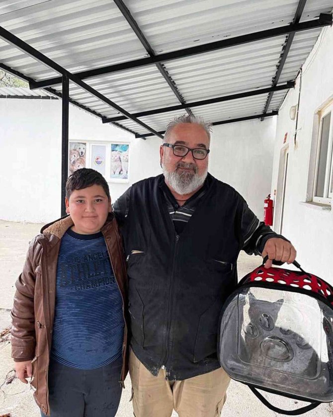 Kedinin Midesinden İğne Çıktı