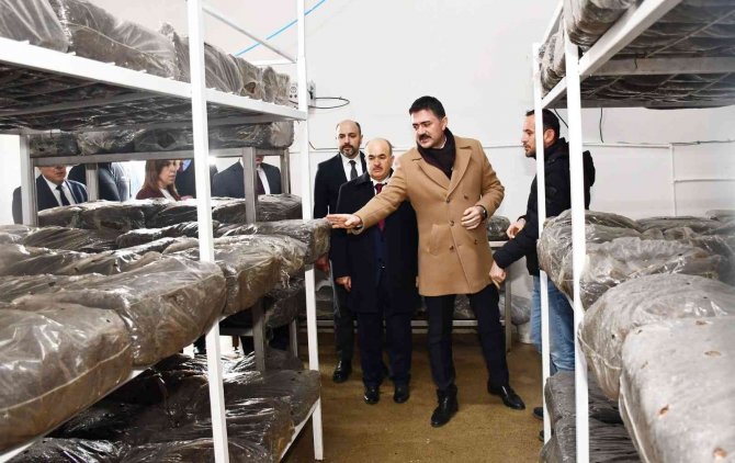 Madde Bağımlıları Bu Köyde Tedavi Ediliyor